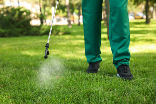 Best Wildlife Control Services  in Hollandale, MS
