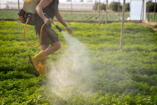 Best Commercial Pest Control Services  in Hollandale, MS