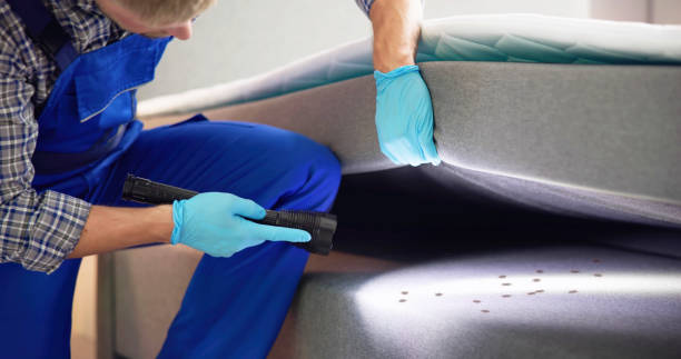 Best Pest Removal Services  in Hollandale, MS