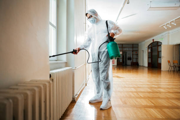 Best Affordable Pest Control Services  in Hollandale, MS